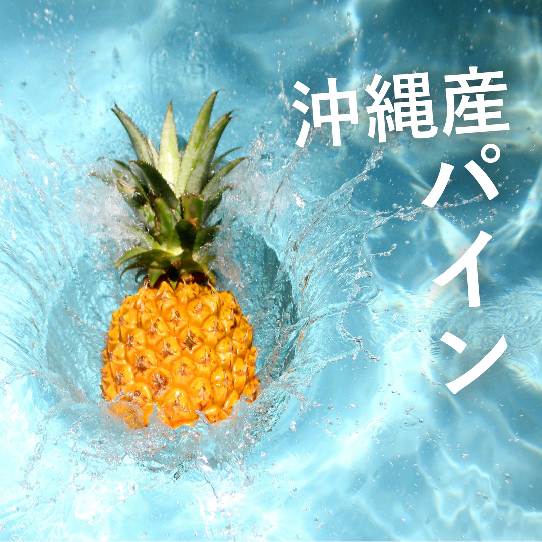 8月5日(発酵の日)20セット限定:仲宗根糀家セレクト