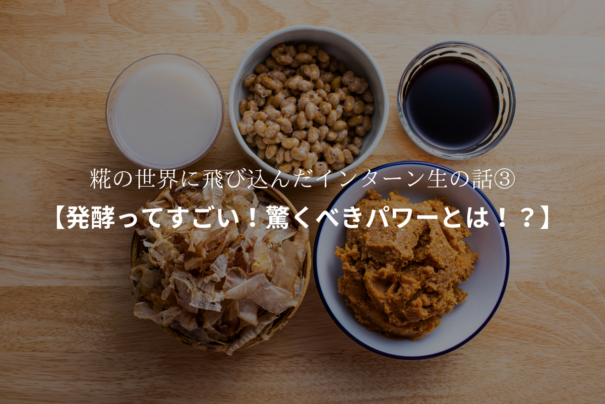 糀の世界に飛び込んだインターン生の話③